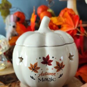Brûleur citrouille Magic Autumn